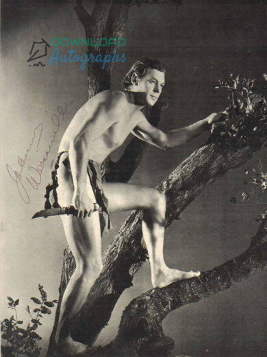 JOHNNY-WEISSMULLER-Tarzan-Autograph