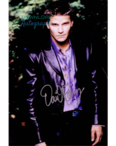 DAVID-BOREANZ-V4-Autograph