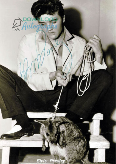 ELVIS-V3-Autograph